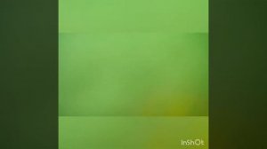 Подводный поиск в мутной воде со Скуба Тектором (Scuba Tector)