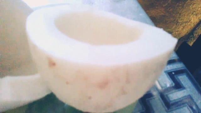 Часть 2 разбили страусиное яйцо что внутри оно живое? смотреть онлайн