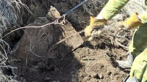 Велопрогулка с продолжением. Коп чермета. Сезон открыт.