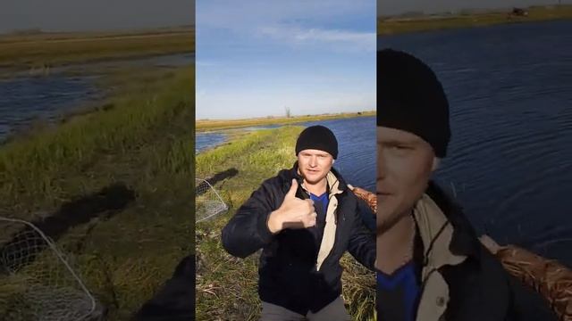 Рыбалка на реке Оша октябрь 2019 смотреть онлайн