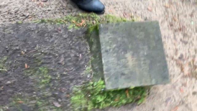 Нашел самое старое кладбище 1520 г. Я не ожидал такого увидеть. смотреть онлайн