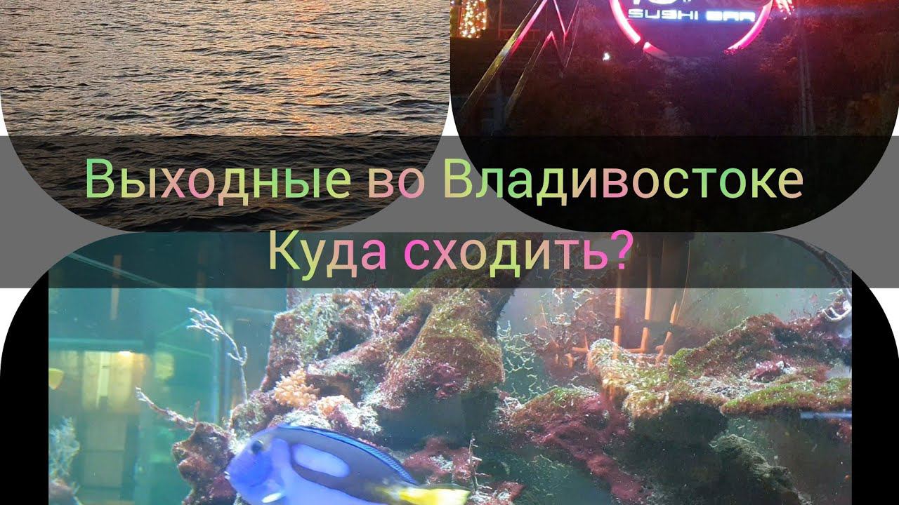 Мини Влог: куда СХОДИТЬ во Владивостоке, прогулка по Набережной/ ресторан ТОКИО/ vlog Vladivostok смотреть онлайн