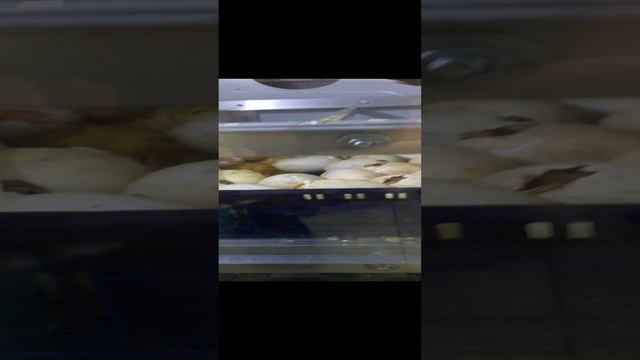 2023-03-14 смотреть онлайн