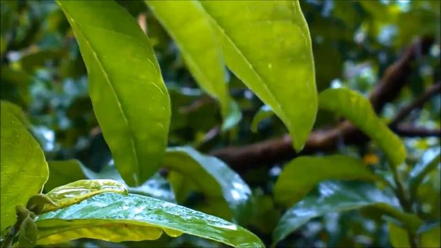 "Раздражение". 22 сентября. День за днем в Ал-анон. Ежедневник для созависимых. смотреть онлайн