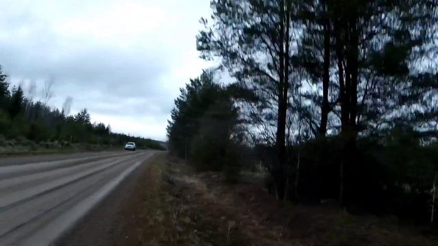 Весенняя охота на вальдшнепа. Промах! Промах! и ещё раз Промах!!! смотреть онлайн