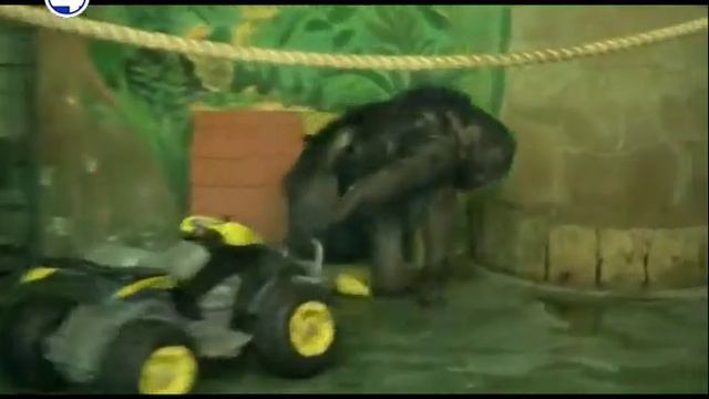 Пир для зверей смотреть онлайн