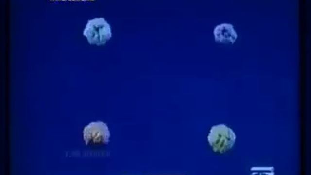 спокойной ночи смотреть онлайн
