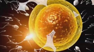 ЧИ ГУНА БОЯД ЗАНРО ХОМИЛАДОР КАРД @ Shahzod TV