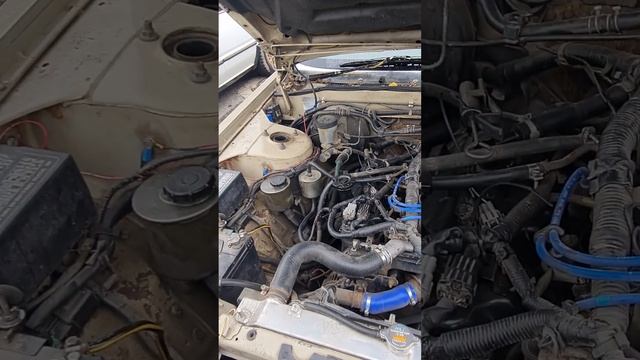 Nissan Cedric 1983 Y30