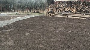 Сеем клевер красный и белый весной 2020. уДачный Эксперимент!