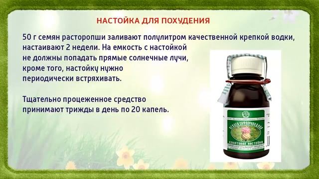 Это поможет Вам похудеть. РАСТОРОПША ДЛЯ ПОХУДЕНИЯ (рецепты) смотреть онлайн