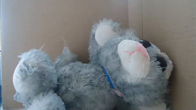 мульт: кот танцует смотреть онлайн