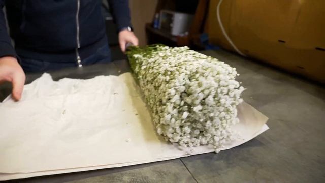 Начинаем новый год с гипсофилы, давно её не было в наших обзорах: Florequisa. Эквадор смотреть онлайн