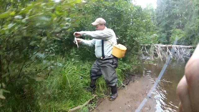 Brook Trout Fishing смотреть онлайн