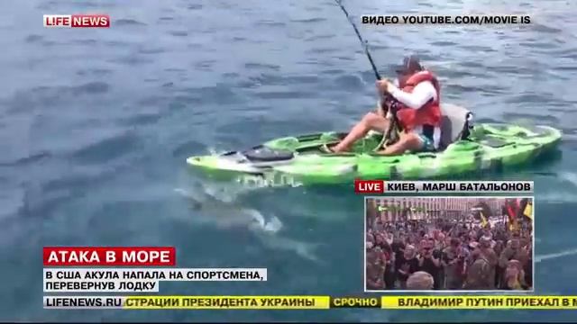 В США акула напала на спортсмена,перевернув лодку смотреть онлайн