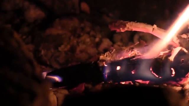 Лесной городок: жизнь лагеря без купюр смотреть онлайн