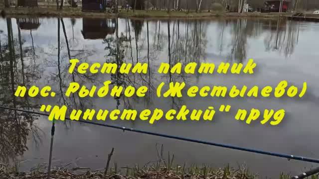 Министерский пруд, пос. Рыбное, ВНИИПРХ (Дмитровский р-он) смотреть онлайн