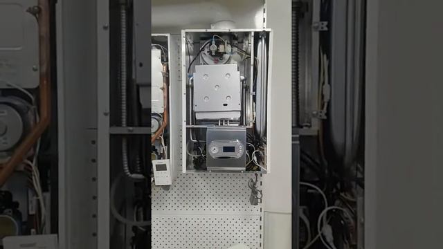 Ардерия смотреть онлайн