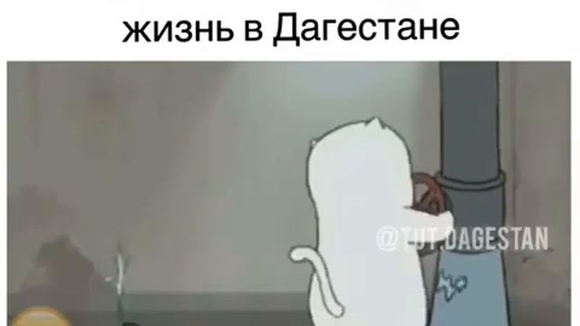 когда ты пытаешься наладить жизнь в Дагестане смотреть онлайн
