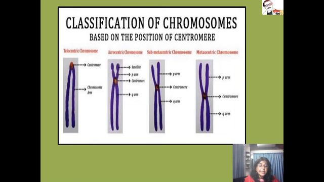 Honours 3rd Year (Chromosome) Zoology || Dr. Most. Fahmida Akhter Kostori смотреть онлайн
