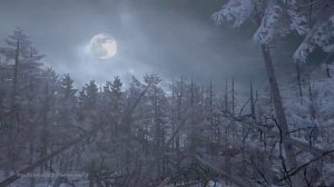 Cabela's Dangerous Hunts 2011 - Story Trailer | HD