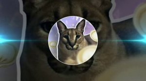 DailyRay-Хорошие пельмени это очень вкусно