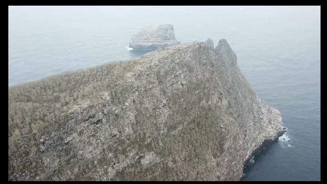 Drone in Wolf Island(Galapagos,Ecuador2018) смотреть онлайн