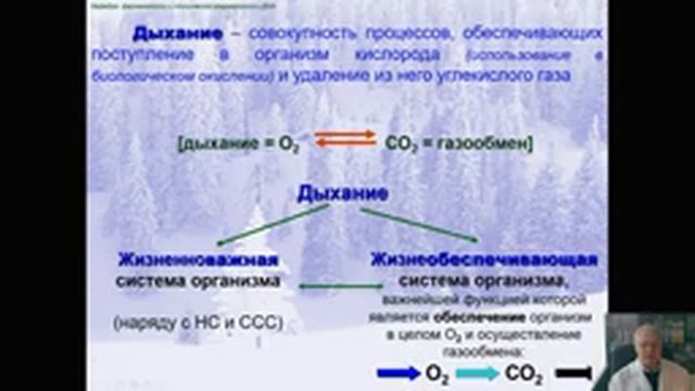 Фармакология системы дыхания (профессор Мамчур В.И.) смотреть онлайн