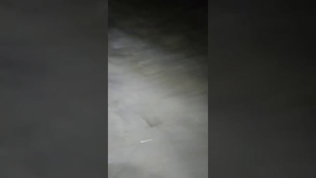 маленький налим был отпущен в прорубь смотреть онлайн