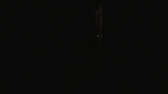 Guia Resident evil HD Remaster (Ps3) Modo enemigo invisible + Trofeo de platino - Capitulo 5 смотреть онлайн