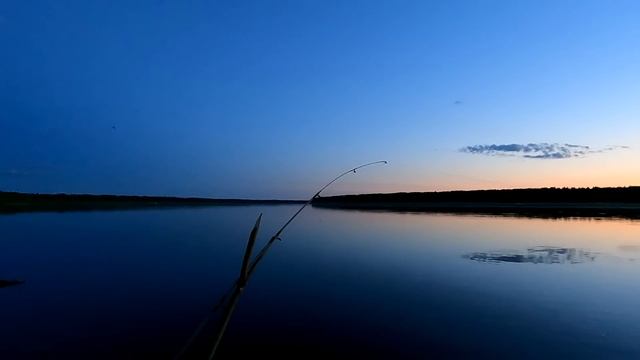 Рыбалка на вечерней зорьке / Рыбалка на фидер / Этот хитрый язь прячет кормушку в траву смотреть онлайн