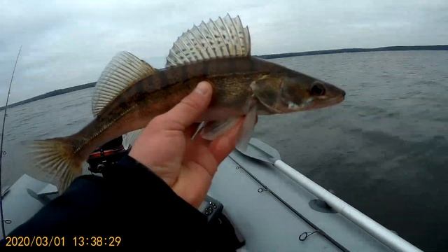 короткий отчёт о последних 2х рыбалках смотреть онлайн