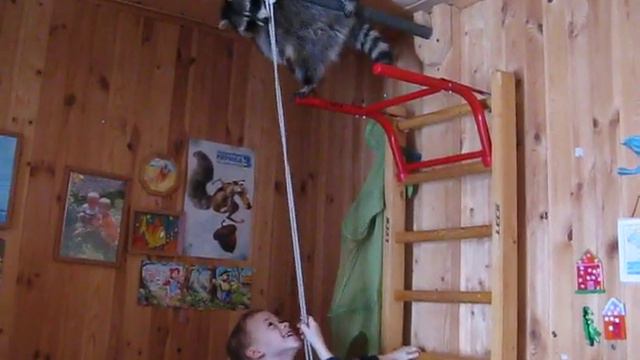 Енот Мико смотреть онлайн