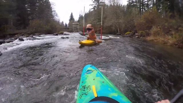 Thomas Rex paddles kayak slalom смотреть онлайн