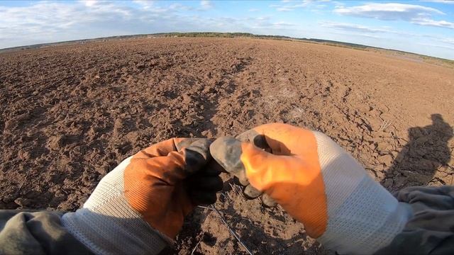 Вечерний коп на распаханном урочище. Архив сезона 2022. #Коп 82. смотреть онлайн