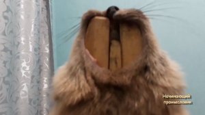 Растягивающая пялка на соболя