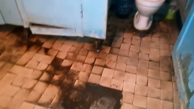 Севастополь, 01.02.17, в общежитии капает с потолка смотреть онлайн