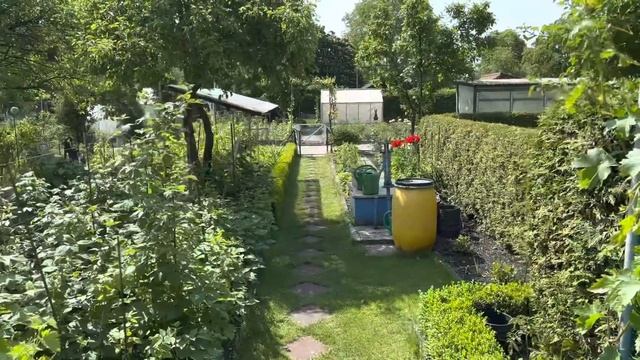 КАКИЕ ОГОРОДЫ В ГЕРМАНИИ.ЧТО ПОСАДИЛИ И КАК. смотреть онлайн
