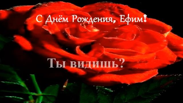 Смешное поздравление. С Днём Рождения, Ефим! смотреть онлайн