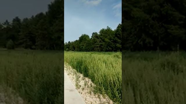 Земельные участки в коттеджном поселке на берегу Волги смотреть онлайн
