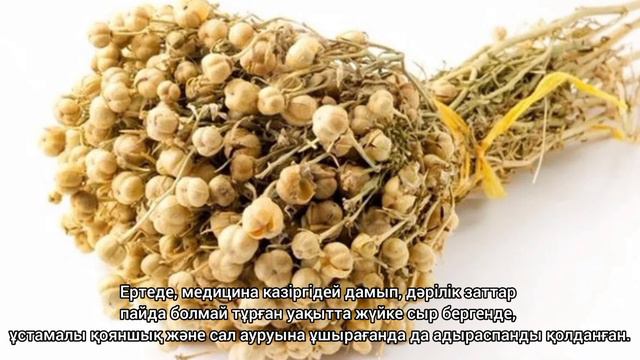 Адыраспан шөбінің пайдасы | Адыраспан | Адыраспан мен уйди аластау