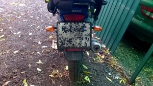 Широкая резина на Yamaha YBR 125