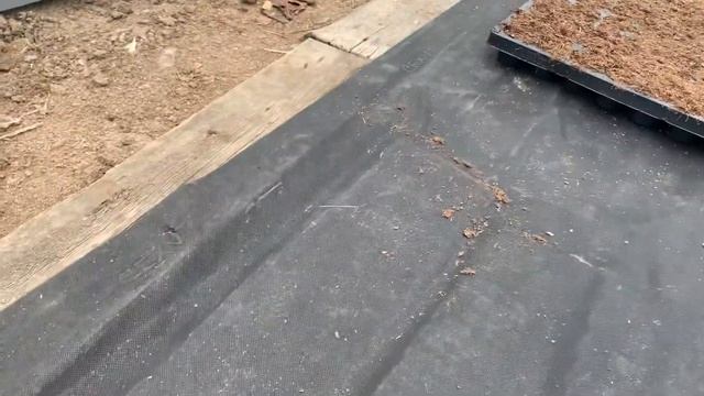 Посадка рассады дыни ,26 марта 2021. Дыня Лада . Астрахань. смотреть онлайн