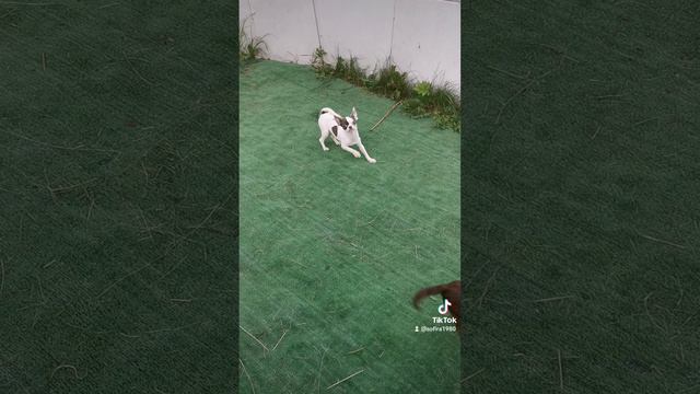 2022-07-19-062134598.mp4 смотреть онлайн
