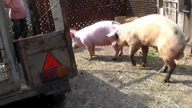 геймплей гача лайф смотреть онлайн