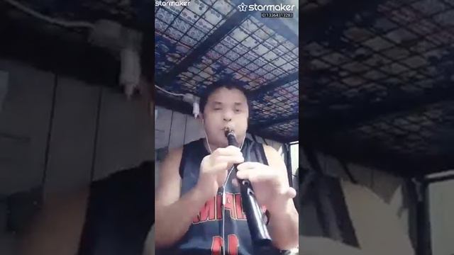 ikaw at Ako...by Mini pocket saxophone cover. смотреть онлайн