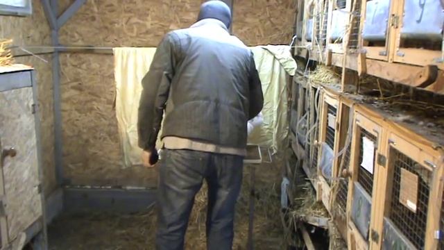 Как мы продаем кроликов через интернет часть 1 смотреть онлайн