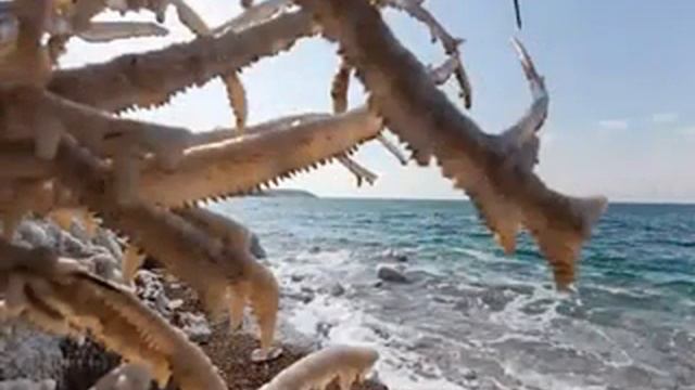 Алексей Глызин-Солёное море смотреть онлайн