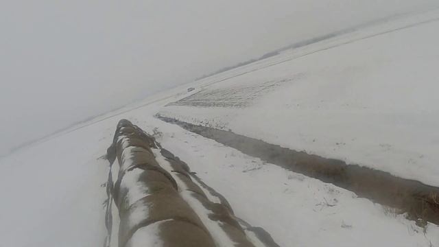 Кумушка хотела обхитрить! Охота на лису с таксами. смотреть онлайн