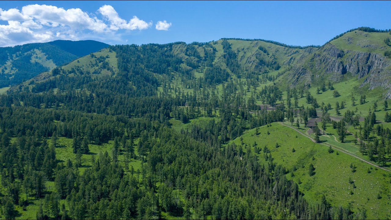 mountain Altai смотреть онлайн